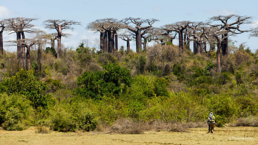 Madagascar Race, 4 Deserts