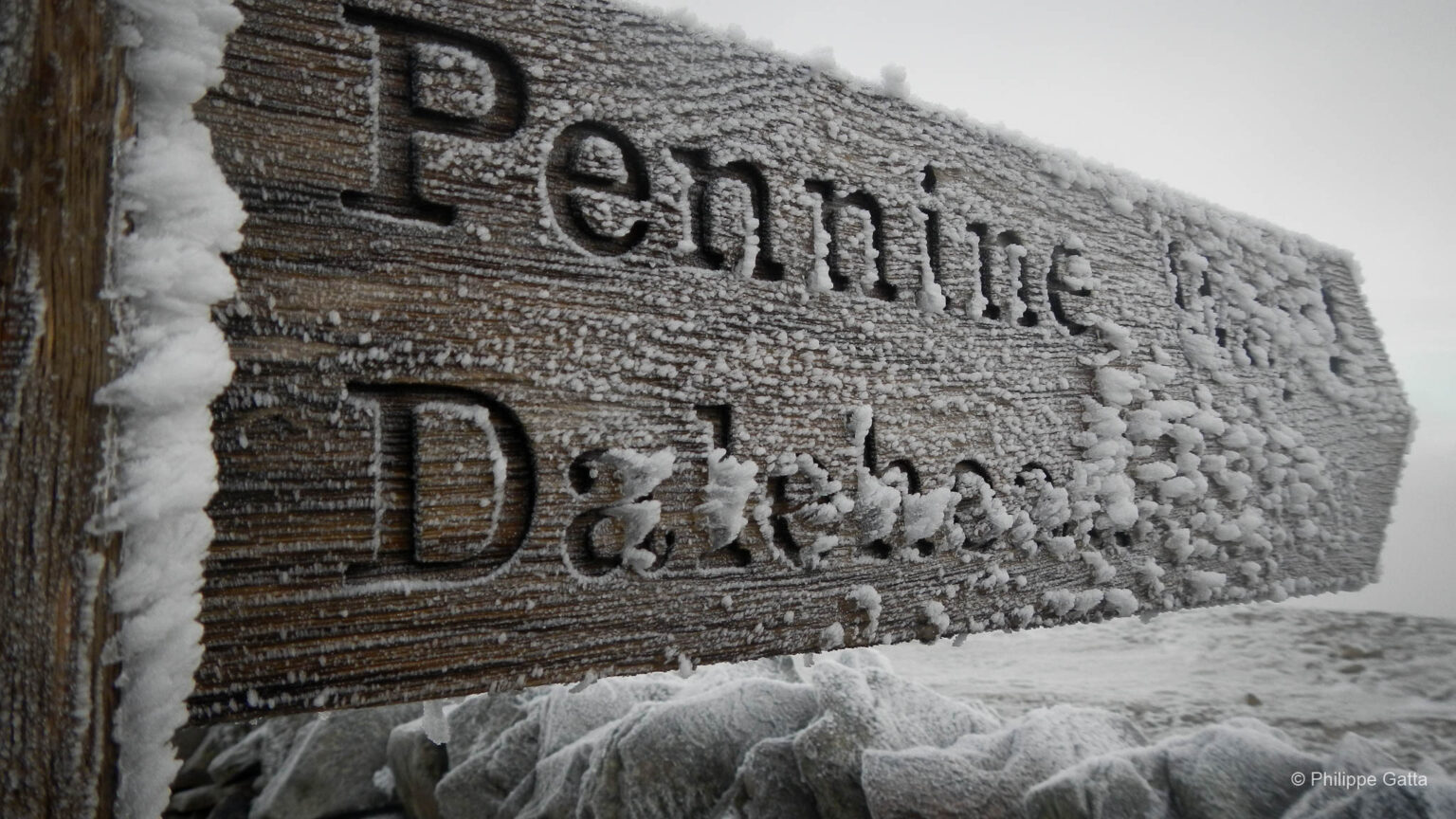 Spine Challenger, Royaume-Uni